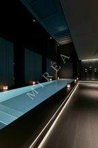 No. 00004 – The Obsidian Lap Pool – digital artwork preview in vertical 2:3 format.